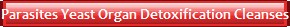Parasites Yeast Organ Detoxification Cleanses